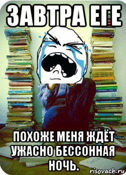 завтра еге похоже меня ждёт ужасно бессонная ночь., Мем Типовий десятикласник