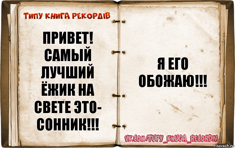 привет! самый лучший ёжик на свете это- сонник!!! я его обожаю!!!, Комикс  Типу книга рекордв