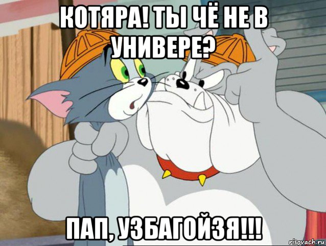 котяра! ты чё не в универе? пап, узбагойзя!!!, Мем том и джерри