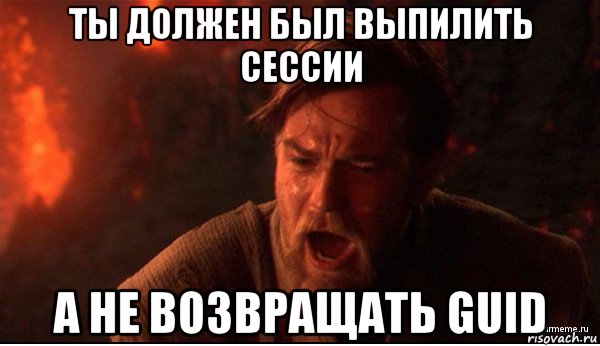 ты должен был выпилить сессии а не возвращать guid, Мем ты был мне как брат