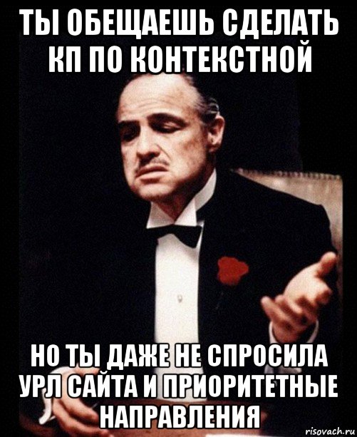 ты обещаешь сделать кп по контекстной но ты даже не спросила урл сайта и приоритетные направления, Мем ты делаешь это без уважения