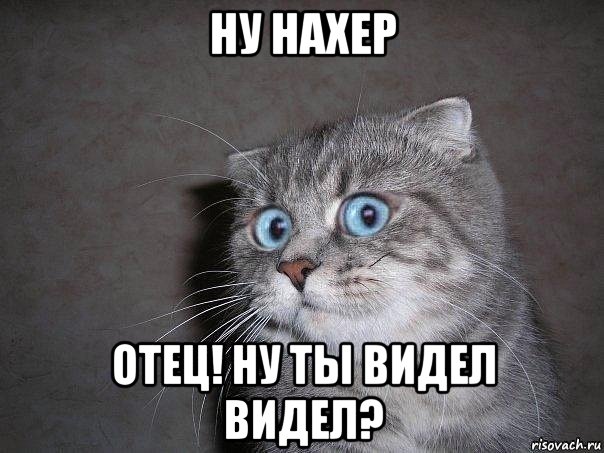 ну нахер отец! ну ты видел видел?, Мем  удивлённый кот