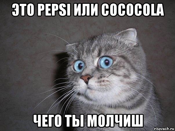 это pepsi или cococola чего ты молчиш, Мем  удивлённый кот