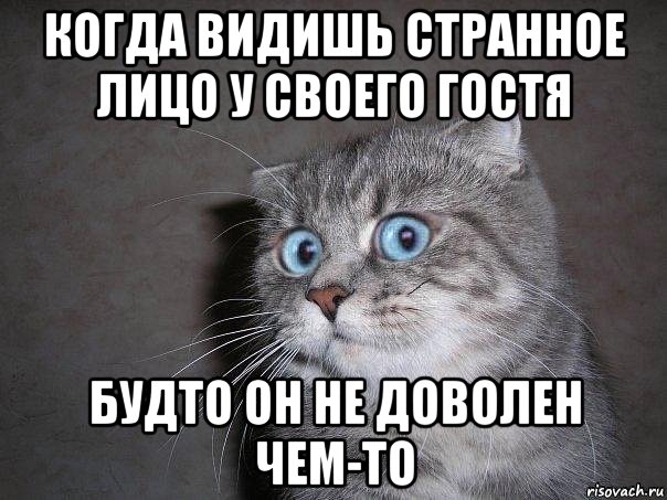 когда видишь странное лицо у своего гостя будто он не доволен чем-то, Мем  удивлённый кот