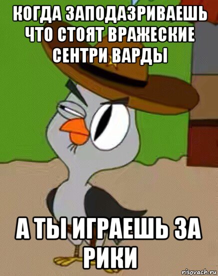 когда заподазриваешь что стоят вражеские сентри варды а ты играешь за рики, Мем    Упоротая сова