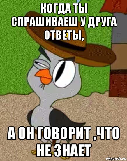 когда ты спрашиваеш у друга ответы, а он говорит ,что не знает, Мем    Упоротая сова