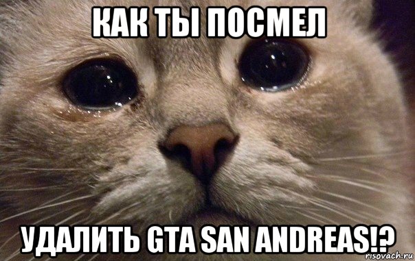 как ты посмел удалить gta san andreas!?, Мем   В мире грустит один котик