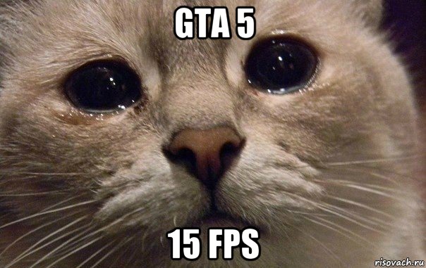 gta 5 15 fps, Мем   В мире грустит один котик