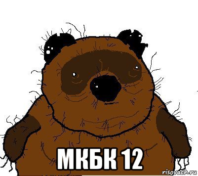  мкбк 12, Мем  Винни збс