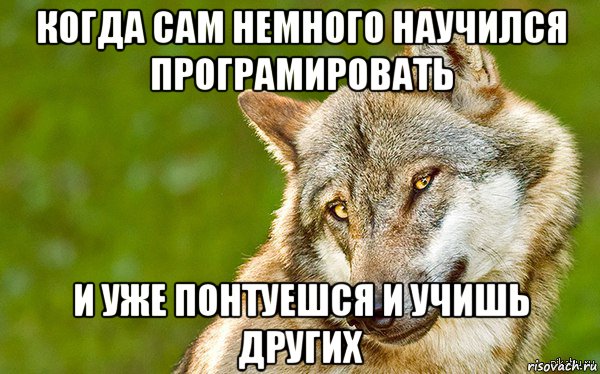 когда сам немного научился програмировать и уже понтуешся и учишь других, Мем   Volf