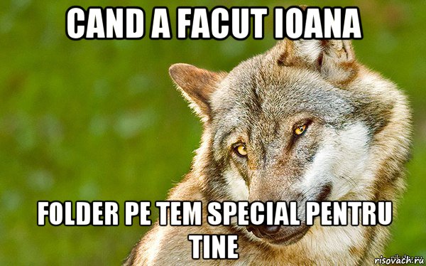 cand a facut ioana folder pe tem special pentru tine, Мем   Volf