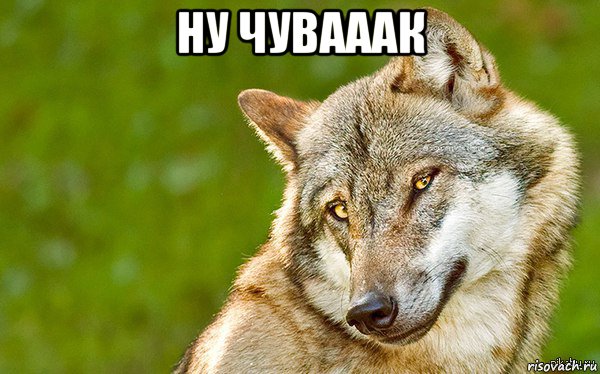 ну чувааак , Мем   Volf