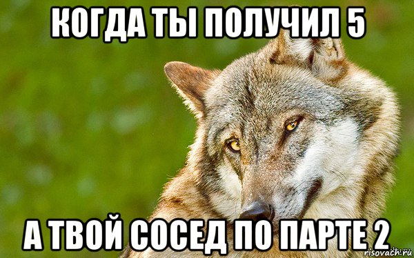 когда ты получил 5 а твой сосед по парте 2, Мем   Volf