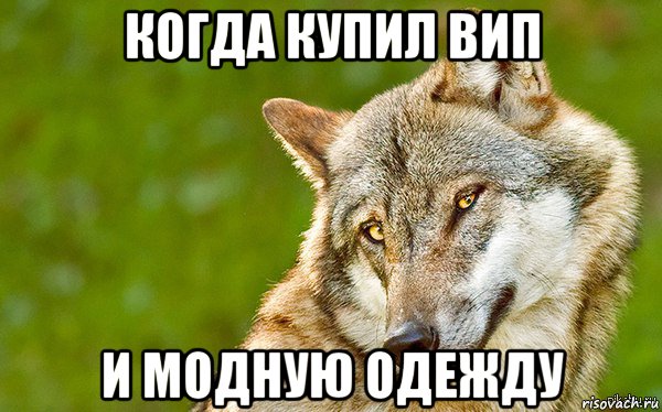 когда купил вип и модную одежду, Мем   Volf