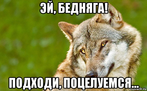 эй, бедняга! подходи, поцелуемся..., Мем   Volf