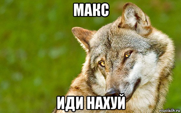 макс иди нахуй, Мем   Volf