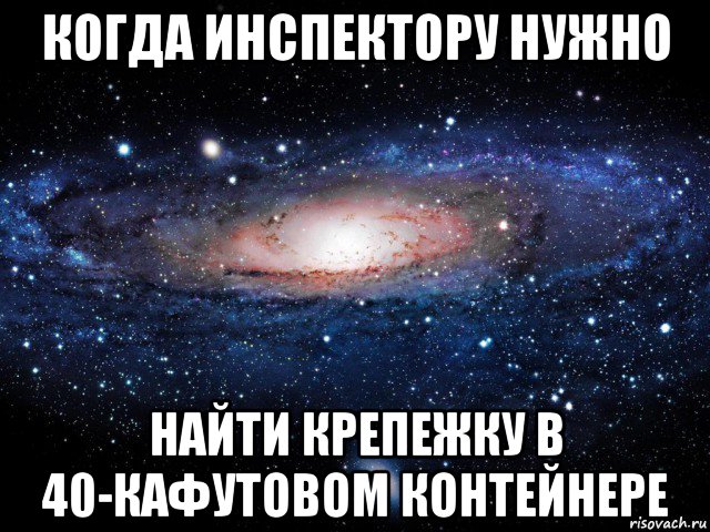 когда инспектору нужно найти крепежку в 40-кафутовом контейнере, Мем Вселенная