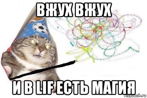 вжух вжух и в lif есть магия, Мем Вжух