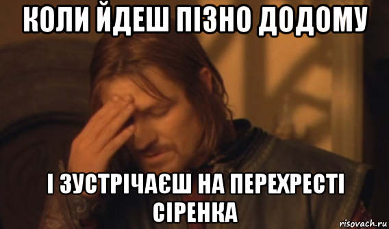 коли йдеш пізно додому і зустрічаєш на перехресті сіренка, Мем Закрывает лицо