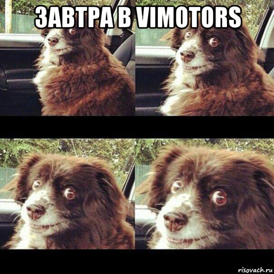 завтра в vimotors , Мем Заводи это дерьмо