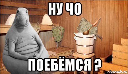 ну чо поебёмся ?