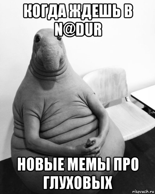 когда ждешь в n@dur новые мемы про глуховых, Мем  Ждун