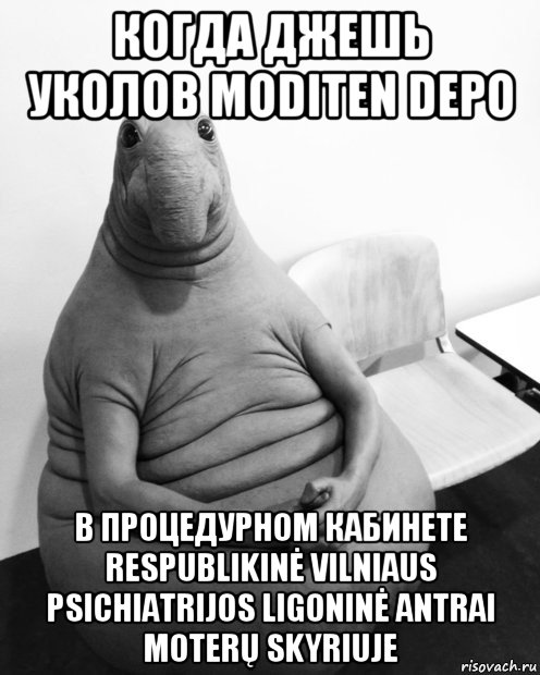 когда джешь уколов moditen depo в процедурном кабинете respublikinė vilniaus psichiatrijos ligoninė antrai moterų skyriuje, Мем  Ждун