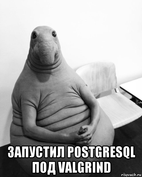  запустил postgresql под valgrind, Мем  Ждун