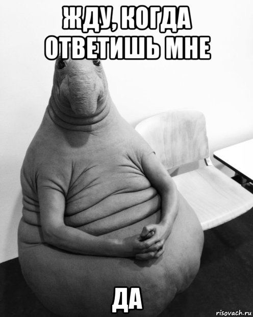 жду, когда ответишь мне да, Мем  Ждун