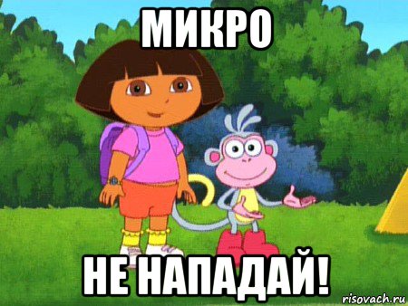 микро не нападай!, Мем жулик не воруй