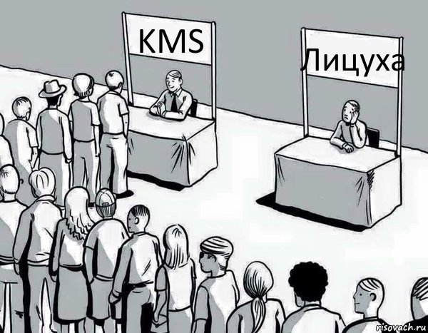 KMS Лицуха, Комикс Два пути