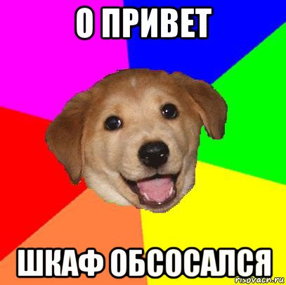 о привет шкаф обсосался, Мем Advice Dog