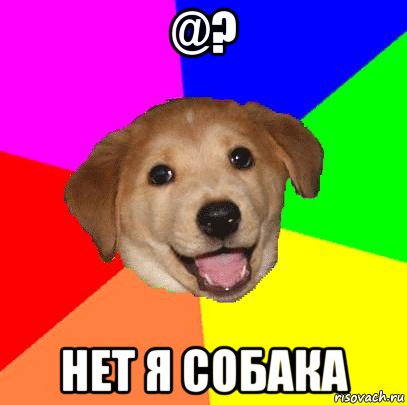 @? нет я собака, Мем Advice Dog