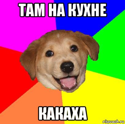 там на кухне какаха, Мем Advice Dog