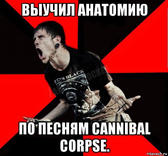 выучил анатомию по песням cannibal corpse., Мем Агрессивный рокер