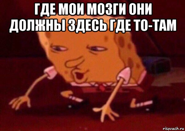 где мои мозги они должны здесь где то-там , Мем    Bettingmemes