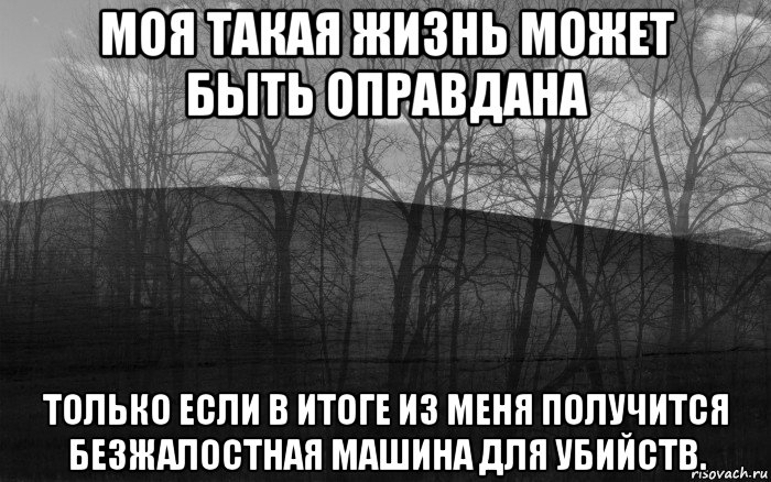 моя такая жизнь может быть оправдана только если в итоге из меня получится безжалостная машина для убийств., Мем безысходность лес