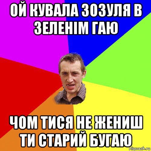 ой кувала зозуля в зеленім гаю чом тися не жениш ти старий бугаю, Мем Чоткий паца