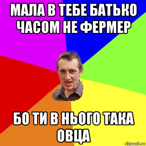 мала в тебе батько часом не фермер бо ти в нього така овца, Мем Чоткий паца