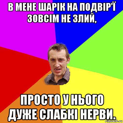 в мене шарік на подвір’ї зовсім не злий, просто у нього дуже слабкі нерви., Мем Чоткий паца