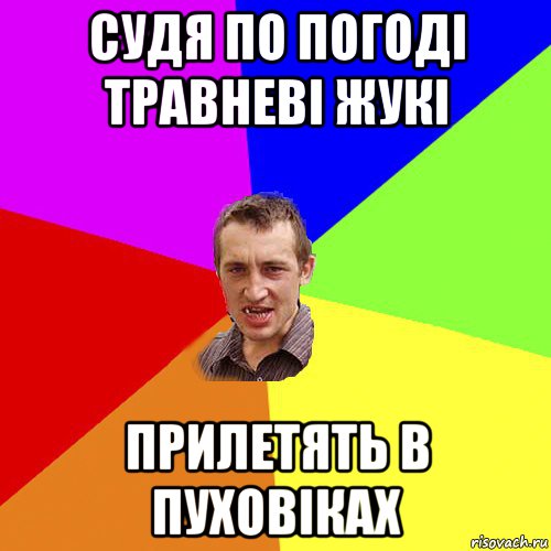 судя по погоді травневі жукі прилетять в пуховіках, Мем Чоткий паца