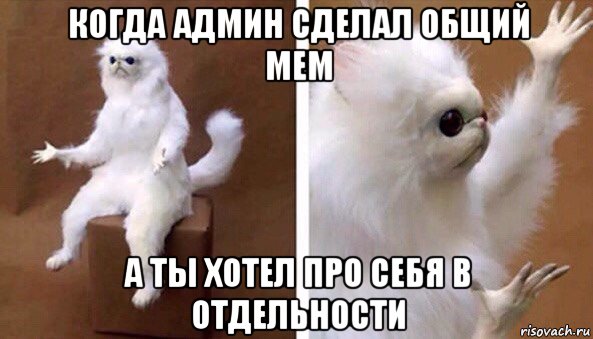 когда админ сделал общий мем а ты хотел про себя в отдельности, Мем Чучело кота