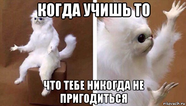 когда учишь то что тебе никогда не пригодиться