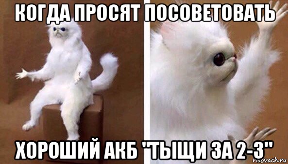 когда просят посоветовать хороший акб "тыщи за 2-3", Мем Чучело кота