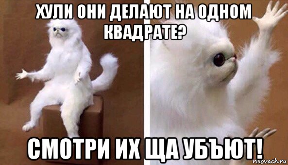 хули они делают на одном квадрате? смотри их ща убъют!, Мем Чучело кота