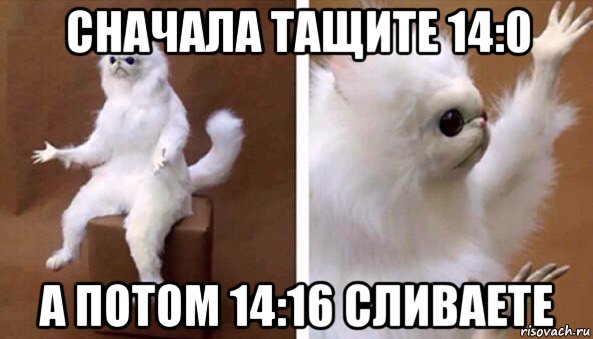 сначала тащите 14:0 а потом 14:16 сливаете, Мем Чучело кота