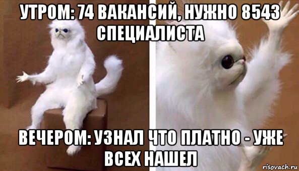 утром: 74 вакансий, нужно 8543 специалиста вечером: узнал что платно - уже всех нашел