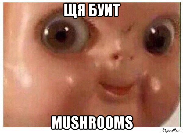 щя буит mushrooms, Мем Ща буит мясо