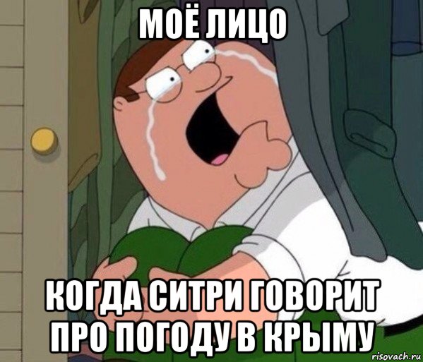 моё лицо когда ситри говорит про погоду в крыму, Мем Да заткнись ты уже