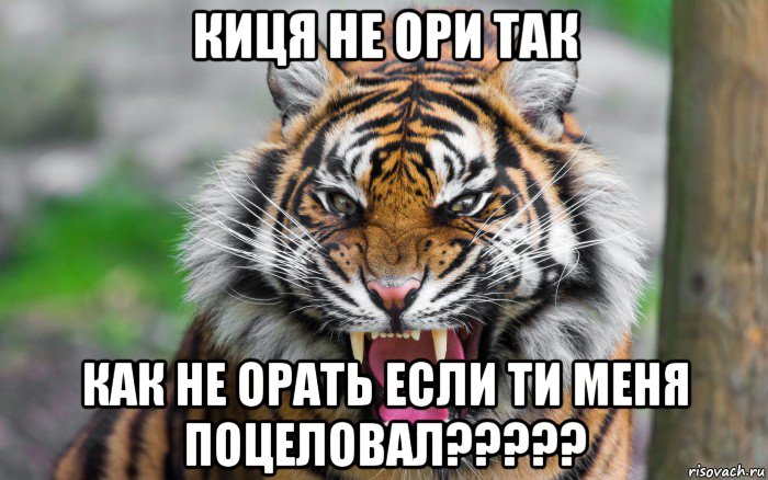 киця не ори так как не орать если ти меня поцеловал?????